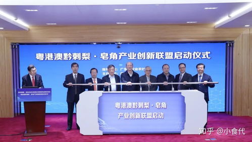 王老吉刺檸吉超額完成5億銷售額目標，首推高端“茅臺伴侶”與哈爾濱環氧地坪合作